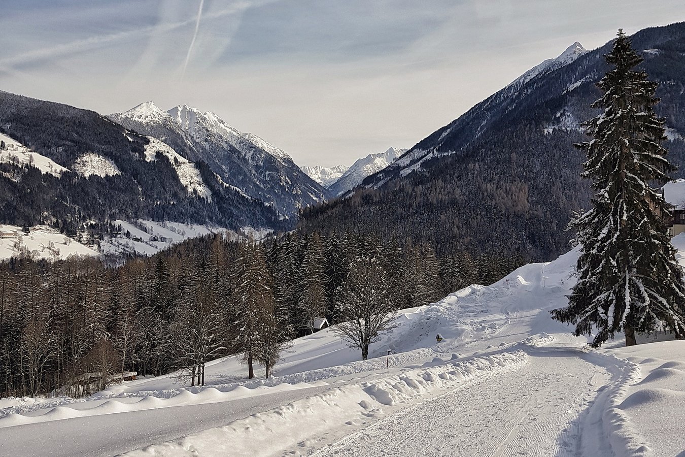 Vintervandring i Alperna